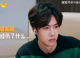 吃瓜娱乐间王一博是谁,吃瓜娱乐间的人气明星揭秘